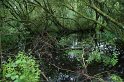 moerputten_53