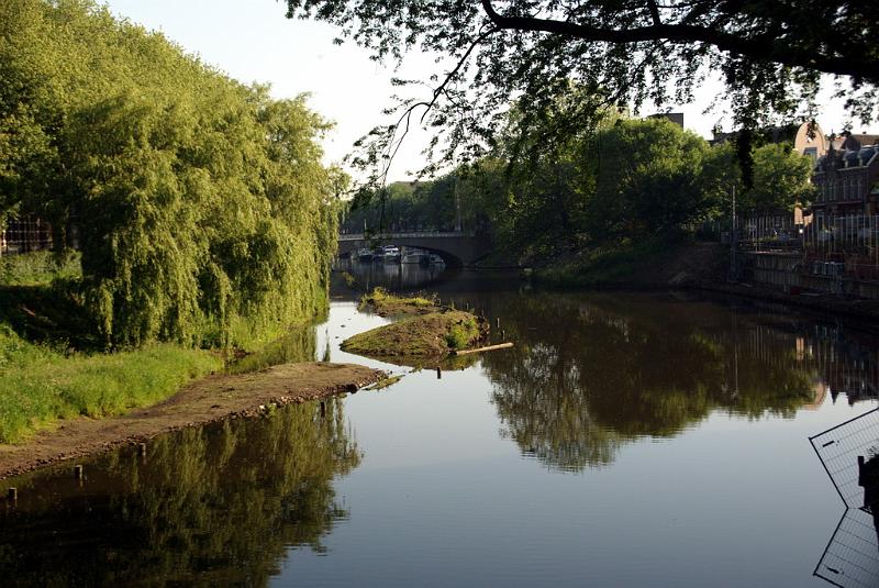 dommel19